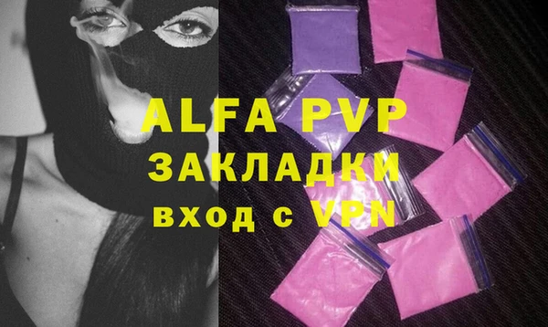 стафф Ладушкин
