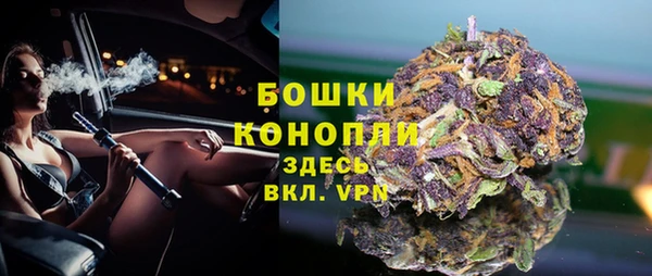 apvp Лагань