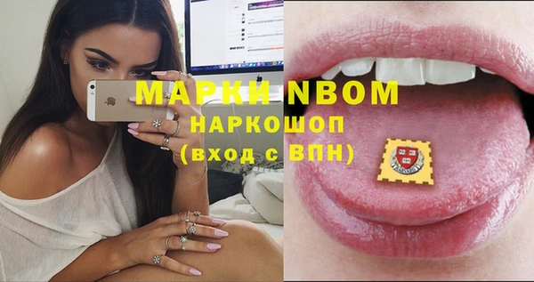стафф Ладушкин