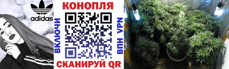 площадка клад  как найти   Усмань  Бошки Шишки планчик  мега сайт 